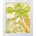 thumbnail image 1 of Wang, Melissa 20x24 White Modern Wood Framed Museum Art Print Titled - Vintage Seaweed Collection I, 1 of 4