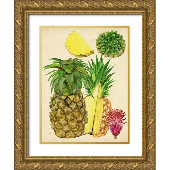 Wang, Melissa 25x32 Gold Ornate Wood Framed with Double Matting Museum Art Print Titled - Tropical Pineapple Study I