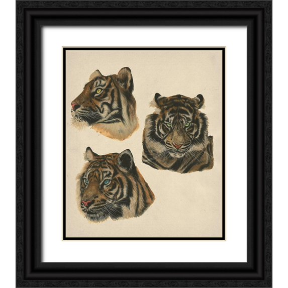 Wang, Melissa 26x30 Black Ornate Wood Framed with Double Matting Museum Art Print Titled - Wild World II