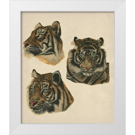 Wang, Melissa 26x30 White Modern Wood Framed Museum Art Print Titled - Wild World II