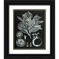 thumbnail image 1 of Wang, Melissa 26x32 Black Ornate Wood Framed with Double Matting Museum Art Print Titled - Citrus Botanical Study I, 1 of 4
