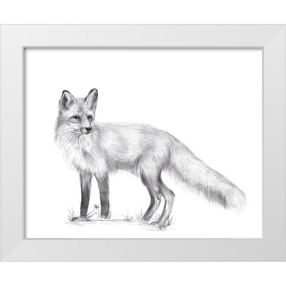 Wang, Melissa 32x26 White Modern Wood Framed Museum Art Print Titled - Wildlife Trail I