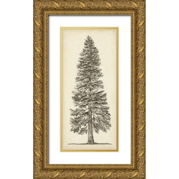 Wang, Melissa 8x14 Gold Ornate Wood Framed with Double Matting Museum Art Print Titled - Pacific Northwest Tree Sketch I
