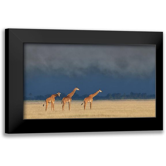 Wang, Yun 14x10 Black Modern Framed Museum Art Print Titled - Raining And Sunset