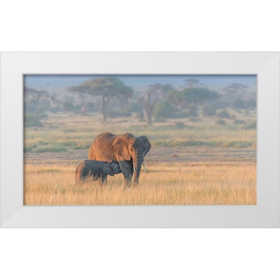 Wang, Yun 14x10 White Modern Wood Framed Museum Art Print Titled - Milking Under Sunrise
