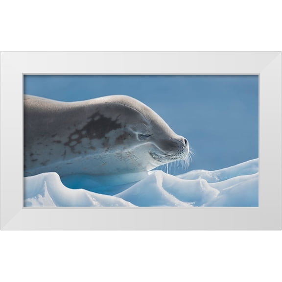 Wang, Yun 14x10 White Modern Wood Framed Museum Art Print Titled - Peaceful