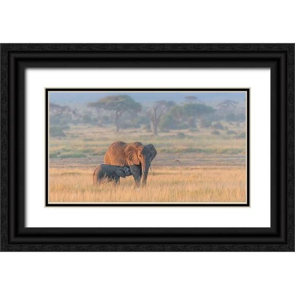 Wang, Yun 32x20 Black Ornate Wood Framed with Double Matting Museum Art Print Titled - Milking Under Sunrise