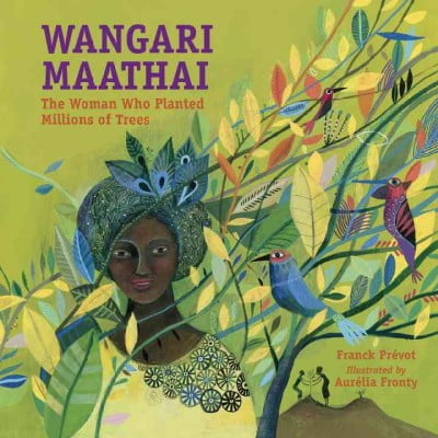 Wangari Maathai : The Woman Who Planted Millions of Trees (Hardcover)