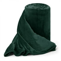 Wangbujianwang Fleece Bed Blankets  - Soft Lightweight Plush Fuzzy Cozy Luxury Blanket Microfiber,Emerald,Queen = 90" x 90"