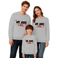 thumbnail image 1 of Wangmeiwg Family Christmas Sweatshirts,Holiday Sweatshirt Family Christmas Sweaters Mom And Son Matching Outfits Matching Christmas Outfits M Grey, 1 of 5