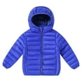 thumbnail image 1 of Wangmeiwg Lightweight Thermal Quilted Padded Jacket For Boys Warm Winter Insulated Outerwear Youth Cold Weather Comfortable Fit Coats 3-4 Years Sky Blue, 1 of 3