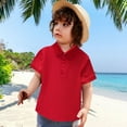 thumbnail image 1 of Wangmeiwg Stylish Short Sleeve Casual Gentleman Top for Toddler Boys Comfortable Summer Holiday Tee Shirt 1-2 Years Red, 1 of 3