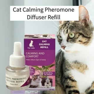 Feliway Scratching