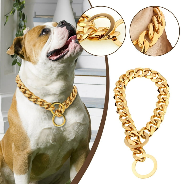 Big dog top chains gold