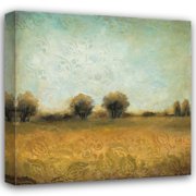 Wani Pasion 15x15 Gallery Wrapped Canvas Wall Art Titled - Summer Evening II