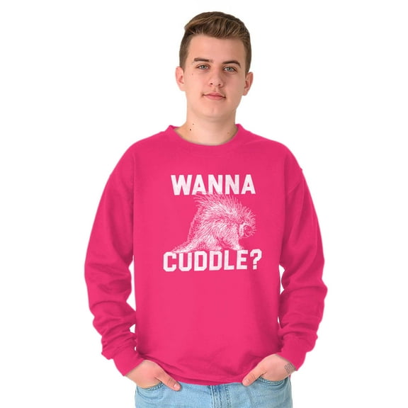 Wanna Cuddle Porcupine Animal Lover Unisex Plus Fleece Graphic Sweatshirt Brisco Brands 3X