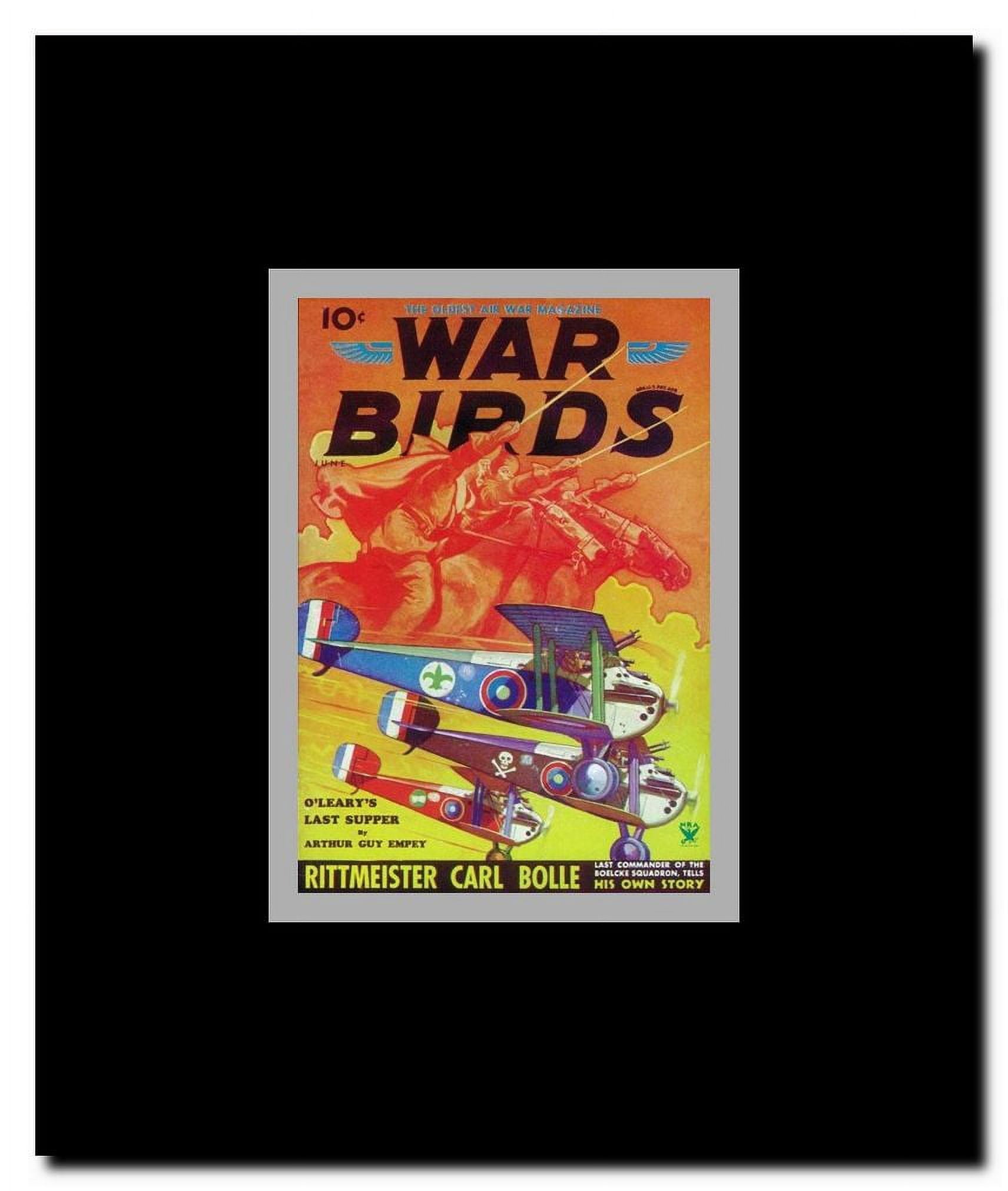 War Birds (Pulp) Framed Movie Poster