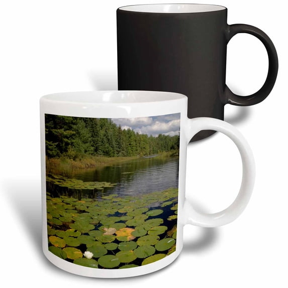 3drose, War Club Lake, Voyageurs National Park, Minnesota - Us24 Rkl0044 - Raymond Klass, 11oz Magic Transforming Mug