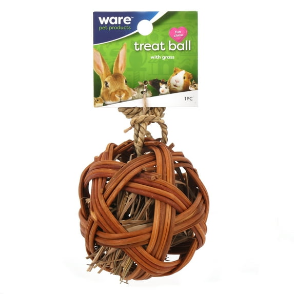 Ware® Edible Treats Ball 4 Inch