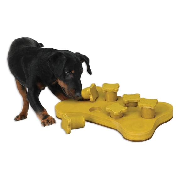 Ware Manufacturing Dog-E-Logic Interactive Dog Game Toy