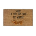 thumbnail image 1 of Warehouse Clearance Cute And Funny Dog Welcome Mat Coco Coir Door Mat with Heavy Duty Backing, Welcome Doormat, Funny Welcome Outside Entry Decor for Patio Washable Mats for Entryway 16x24 In Brown, 1 of 5