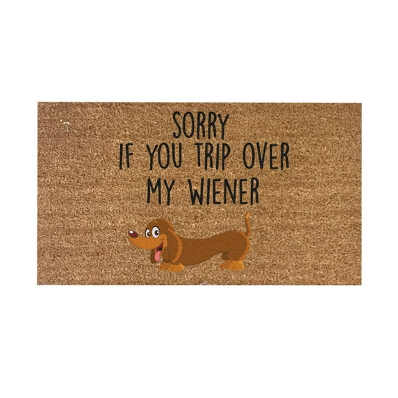 Warehouse Clearance Cute And Funny Dog Welcome Mat Coco Coir Door Mat with Heavy Duty Backing, Welcome Doormat, Funny Welcome Outside Entry Decor for Patio Washable Mats for Entryway 16x24 In Brown