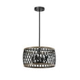 thumbnail image 1 of Warehouse of Tiffany Agustin Matte Black 4-Light Metal Geometric Drum Shade Chandelier, 1 of 6