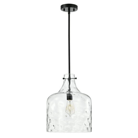 Warehouse of Tiffany Daelan 1 Light Clear Dimpled Glass Single Light Matte Black Pendant Light