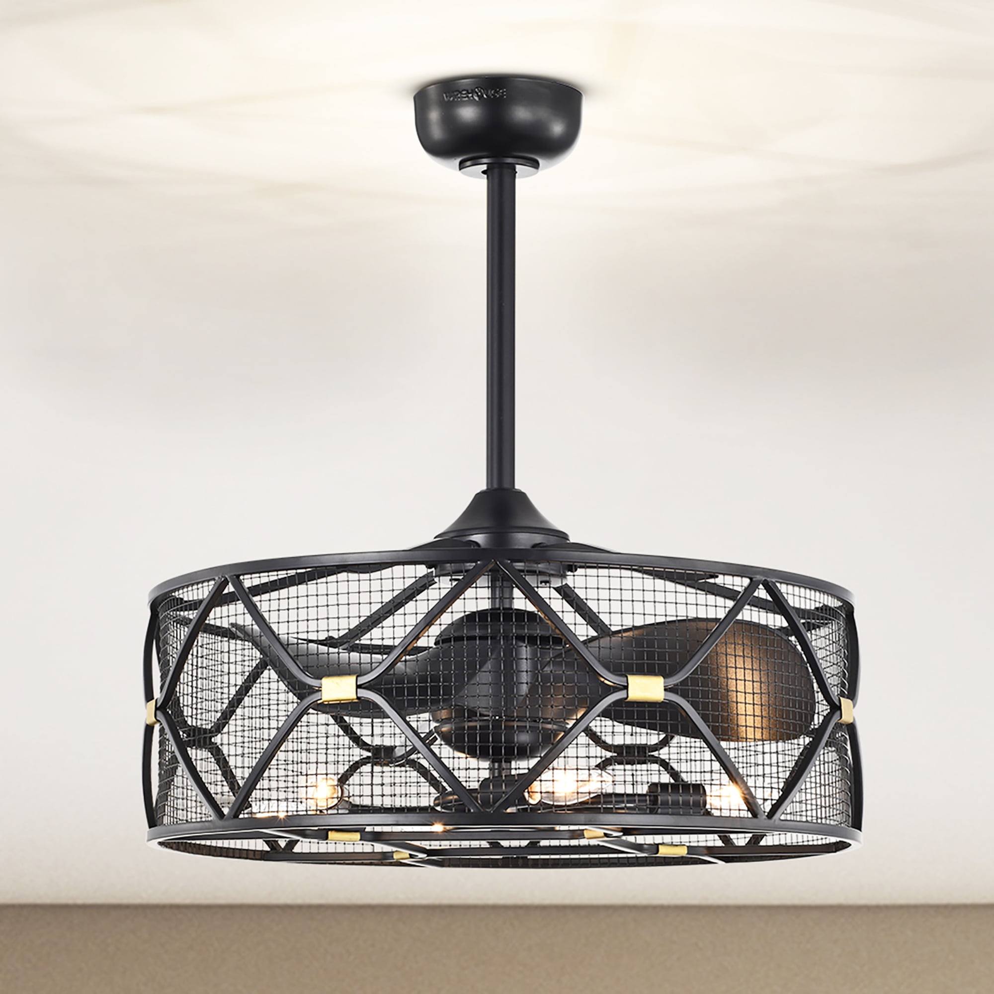 Nelle 24.3 in. Indoor Black Finish Ceiling Fan with Light Kit and Remote
