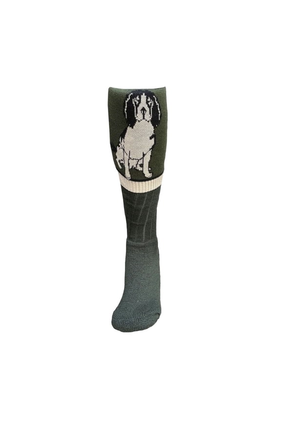Adult Springer Spaniel Socks