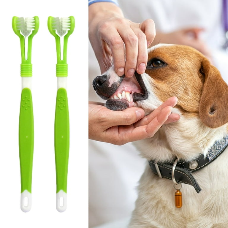 Soft on sale dog toothbrush