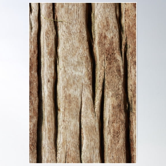 Warm Bark Poster Wall Art, Modern Wall Decor For Living Room Bedroom, 8x12 UNFRAMED