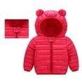 thumbnail image 1 of Warm Boys Outdoor Windproof Jacket Thick Toddler Coat Ideal for Active Kids, 1 of 6