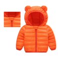 thumbnail image 1 of Warm Boys Outdoor Windproof Jacket Thick Toddler Coat Ideal for Active Kids, 1 of 7