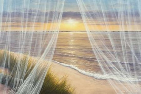 Warm Breeze Canvas Art - Diane Romanello (20 x 28)