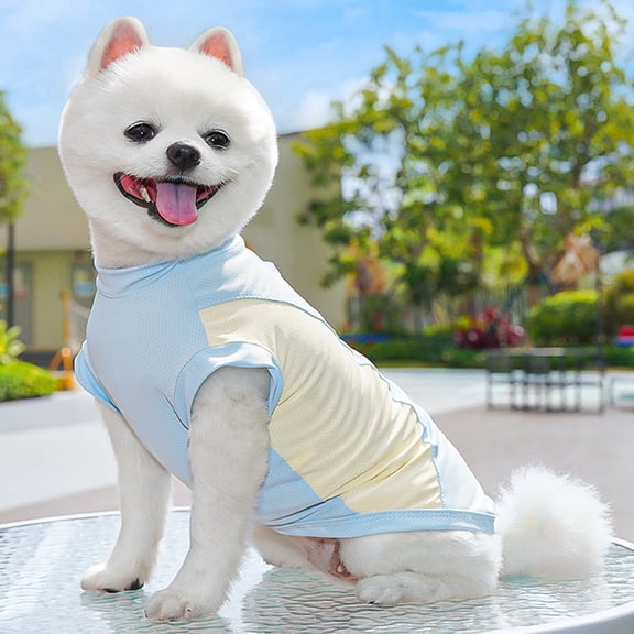 Warm Cat Clothes for Cats Puppy T Shirts for Dogs Tank Tops Cooling Male Doggie Sweatshirt Printed Pet Clothing Small Dog Sun Shirts for Boys (Light Blue,XXL)