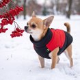 thumbnail image 1 of Warm Dog Kitty Winter Coat Thick Padded Pet Jacket Cold Weather Puppy Clothing Cozy Outdoor Apparel for Small Medium Dogs and Kitties, 1 of 6