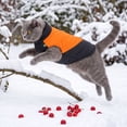 thumbnail image 1 of Warm Dog Kitty Winter Coat Thick Padded Pet Jacket Cold Weather Puppy Clothing Cozy Outdoor Apparel for Small Medium Dogs and Kitties, 1 of 6