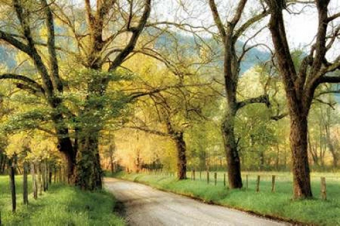 Warm Morning Light Canvas Art - D Burt (24 x 36)