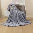 thumbnail image 1 of Warm Velvety Fleece Blanket Throw, Thick Polyester Sewn Border Cover, All Season Sofa Bed Nap Blanket, Outdoor Layer, 1 of 4