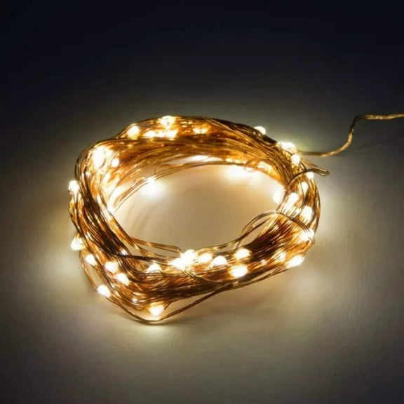 Warm White 16.5' Battery Operated LED Fairy Lights