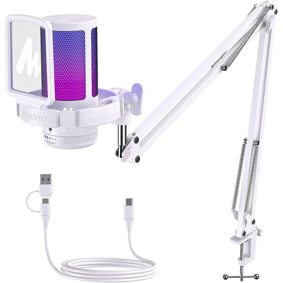 WarmHavenUSB Gaming Microphone with Noise Cancellation, Computer PC Mic with Boom Arm, RGB Light, Mute, Gain, Monitoring Streaming Mic for Podcast, YouTube, Twitch, Discord, PS5/4, GamerWave DGM20S