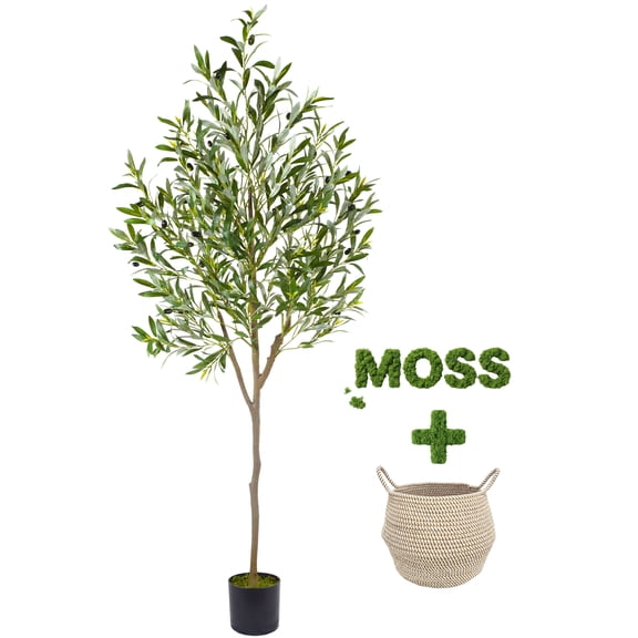 Warmplants 6ft Artificial Olive Tree, Fake Olive Plant with Woven Basket, Indoor Olive Topiary Silk Tree for Home Livingroom Office Decor