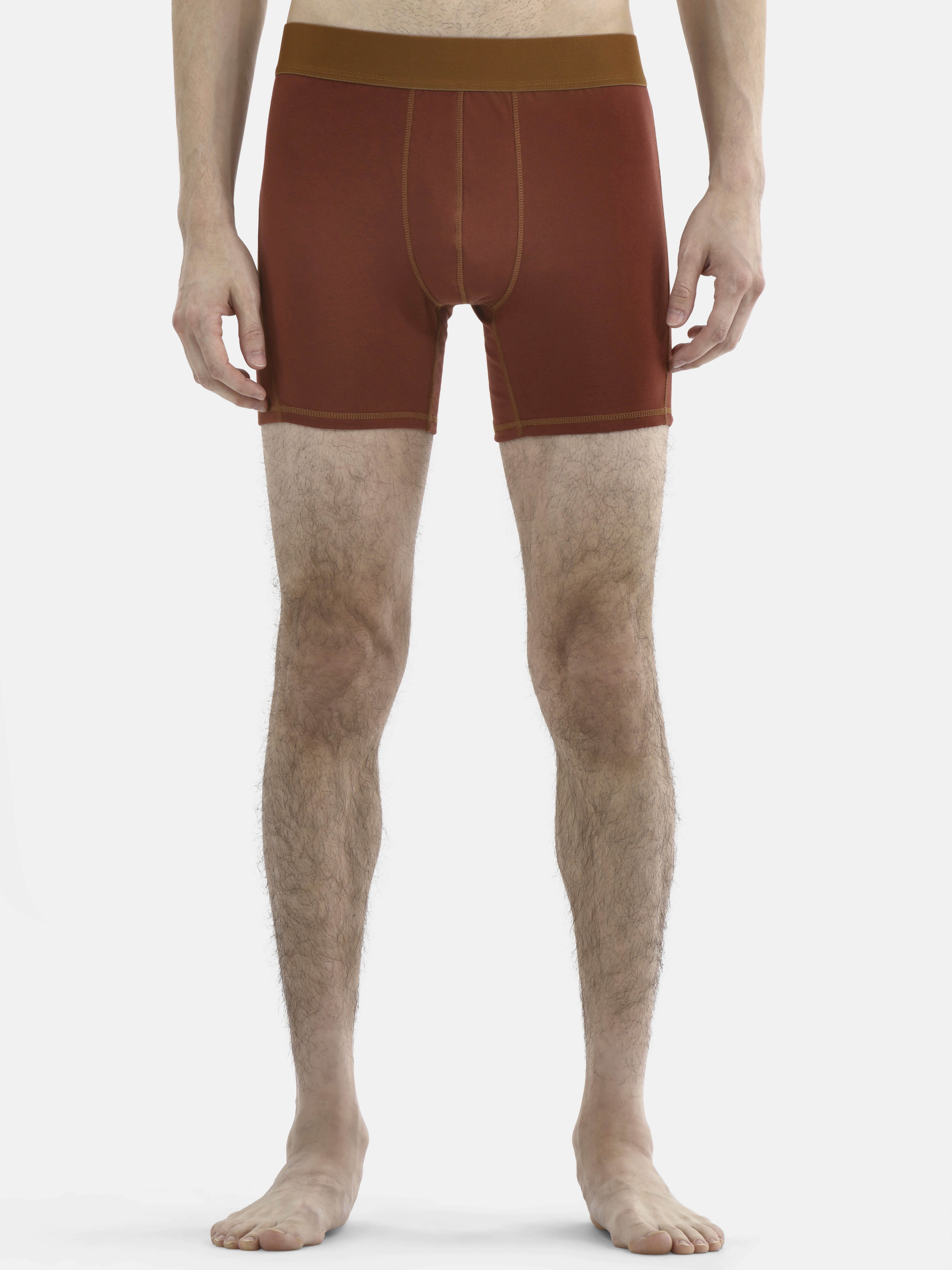 No Boundaries Warms Boxer Briefs, 3-Pack, Men's