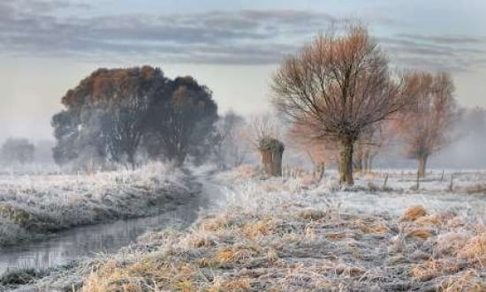 Warmth - Cold Canvas Art - Roman Lipinski (24 x 36)