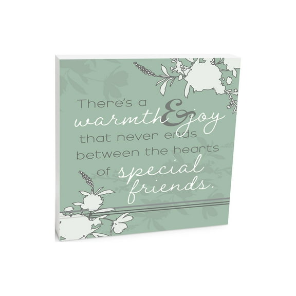 Warmth Joy Special Friends Soft Sage 10 x 10 Wood Tabletop Sign Plaque