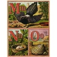 thumbnail image 1 of . Warne Alphabet 1875. Mno Poster Print By Mary Evanspeter & Dawn Cope Collection (18 X 24), 1 of 3