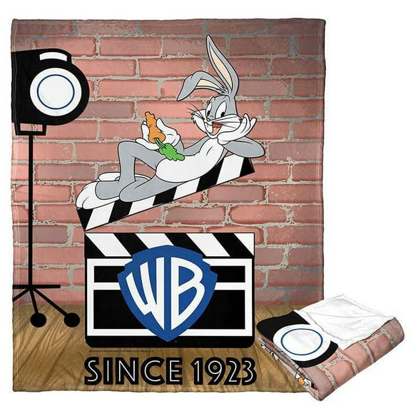 Warner Bros 100 Since 1923 Kids Silk Touch Throw Blanket