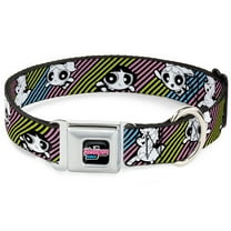 Warner Bros. Animation Pet Collar, Dog Collar Metal Seatbelt Buckle, The Powerpuff Girls and Donny Stripe Black Multi Pastel, 9.5 to 13 Inches 1.0 Inch Wide