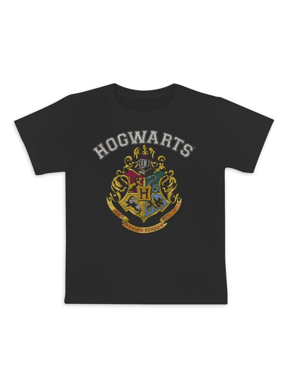 T-shirt Harry Potter ZBOX Taille XL Gris - Neuf Avec étiquette